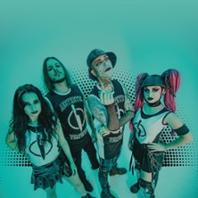 Aesthetic Perfection + Guest