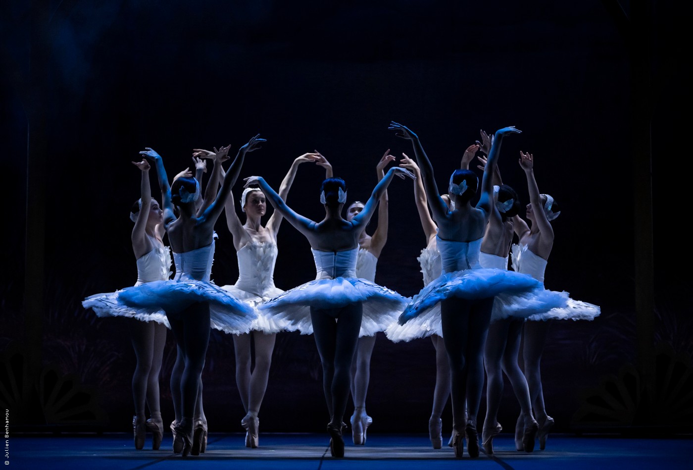 Mon premier Lac des Cygnes