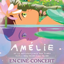 Am&eacute;lie et la M&eacute;taphysique des Tubes - En Cin&eacute; Concert