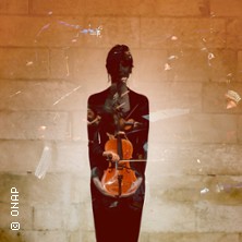 Orchestre National Avignon Provence - Beethoven Concert pour Violon...