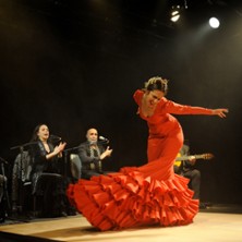 Tierra Viva - Compagnie Flamenco Alborea