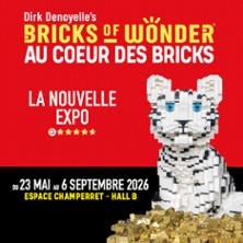 Bricks of Wonder - Au Coeur des Bricks