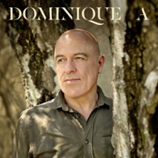 Dominique A