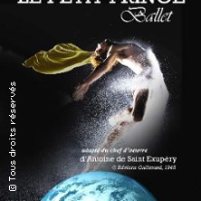 Palais d'Hiver Saint P&eacute;tersbourg Ballet