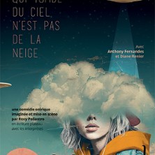 Tout ce qui Tombe du Ciel N'est pas de la Neige - Com&eacute;die des 3 Bornes, Paris