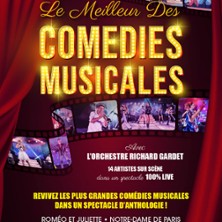 Le Meilleur des Com&eacute;dies Musicales