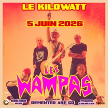 Les Wampas + Demented Are Go + Princes Chameaux + King Kong Meuf