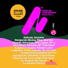 Laurent Voulzy en Concert - Festival Nuits de Champagne