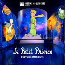 Bassins des Lumi&egrave;res - Le Petit Prince, l'Odyss&eacute;e Immersive