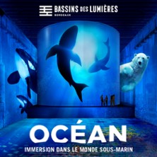 Bassins des Lumi&egrave;res - Expostions Oc&eacute;an + Cube avec Greenpeace