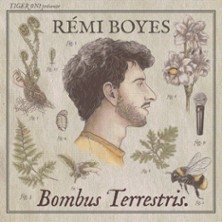 R&eacute;mi Boyes - Bombus Terrestris