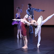 The Dancer(s) - Compagnie Fran&ccedil;ois Maudit