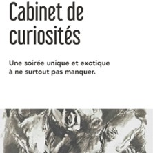 Cabinet de Curiosit&eacute;s