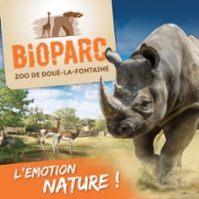 Bioparc Zoo de Dou&eacute;-Lafontaine