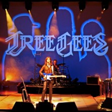 Tree Gees - Tribute Bee Gees