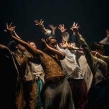 Shechter II - IN THE BRAIN