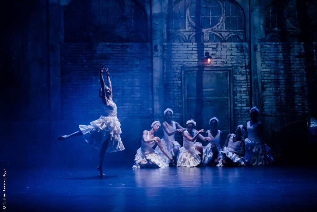 Black Swan - Le 13e art