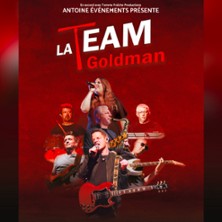La Team Goldman - Concert La Team Goldman