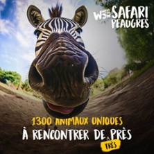 Wow Safari Peaugres