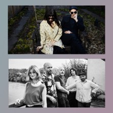 Elysian Fields + Montanita