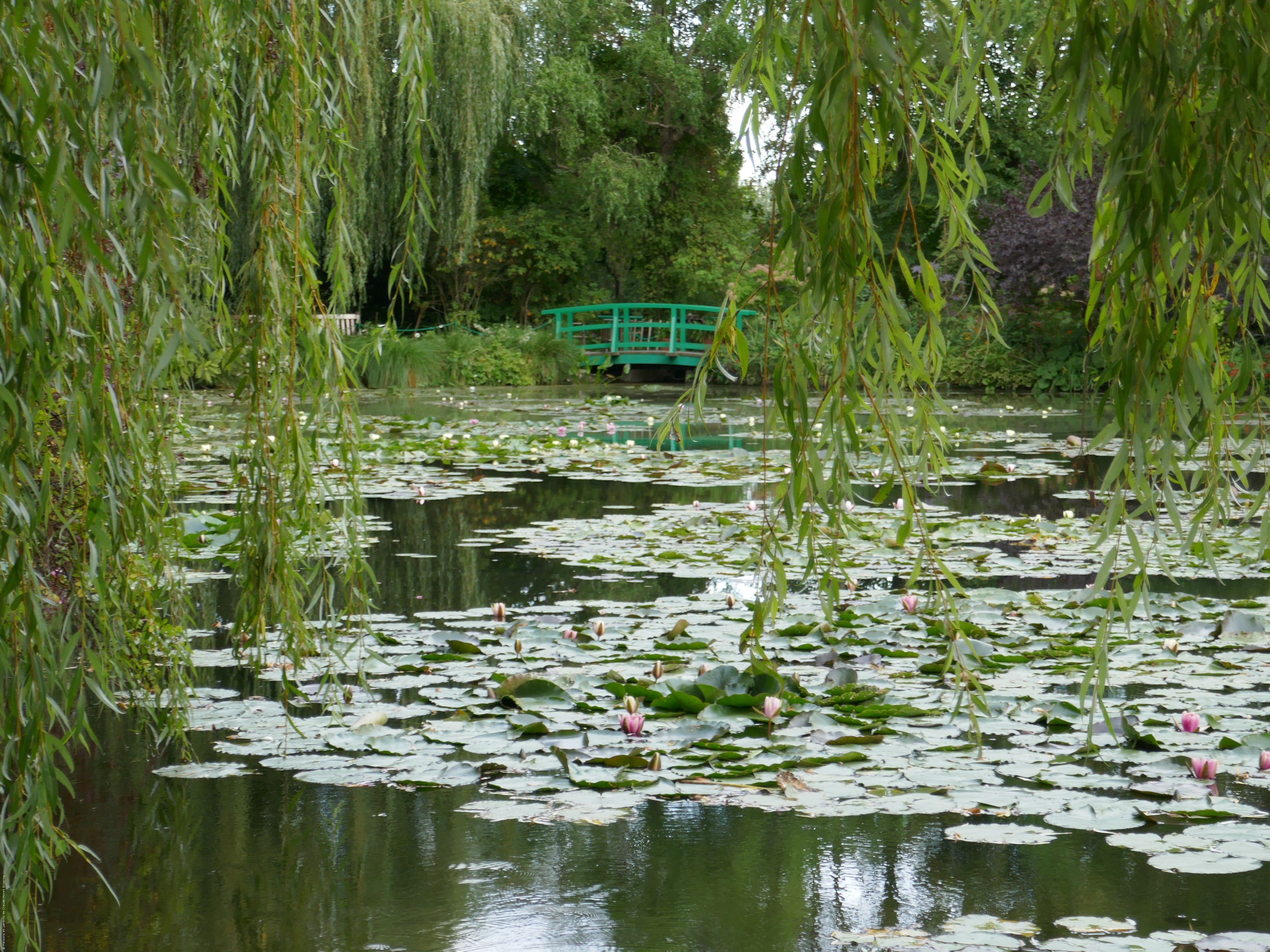 Jardins de Claude Monet - Giverny