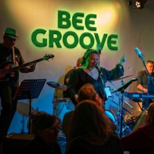 Bee Groove