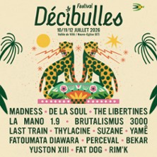 Festival D&eacute;cibulles - Pass 1 Jour Vendredi