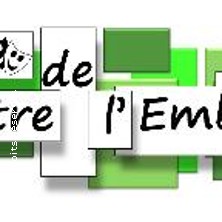 THEATRE DE L'EMBELLIE MONTAUBAN