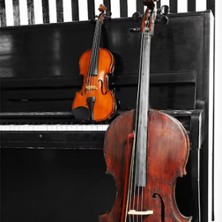 Les Deux B - Beethoven & Brahms par le Trio Sisley