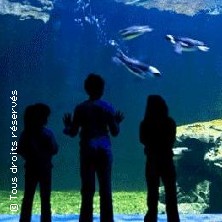 AQUARIUM & PLANETARIUM -MONTPELLIER MONTPELLIER CEDEX 2