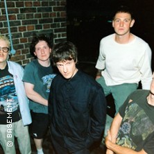 Basement + Fiddlehead + Guest