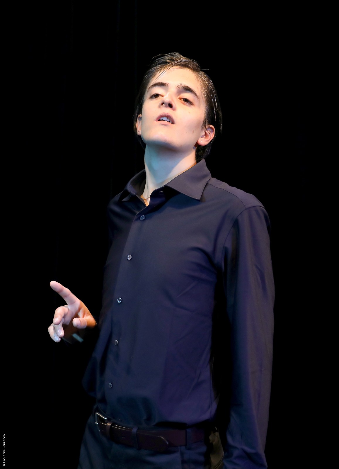 Gabriel Donzelli au Petit Palais des Glaces