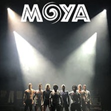 Moya - Zip Zap Circus