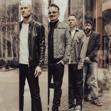 The Pineapple Thief