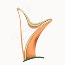 Les Lundis Musicaux : Laurence Kilsby & Ella O'Neill