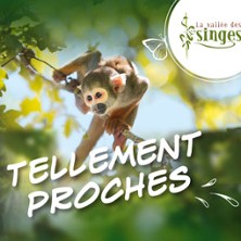La Vall&eacute;e des Singes