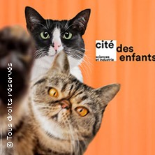 Cit&eacute; des Sciences et de l'Industrie