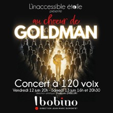 Au Choeur de Goldman - Concert &agrave; 120 voix