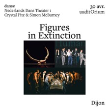 Figures in Extinction