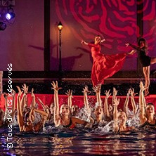 Ballet nautique de Strasbourg