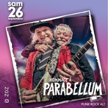 Languederock Festival - Billet 1 Jour