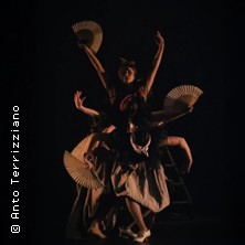 Ballet Flamenco -  Th&eacute;&acirc;tre des Champs-Elys&eacute;es, Paris