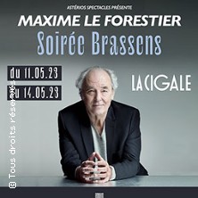 Maxime Le Forestier