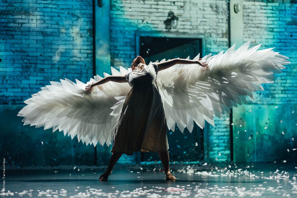 Black Swan - Le 13e art