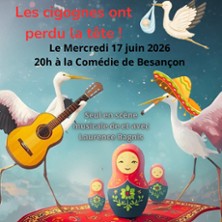 Les Cigognes Ont Perdu la T&ecirc;te