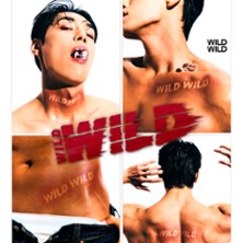 Wild Wild - Unleash Your Instincts !