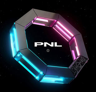 PNL PNL